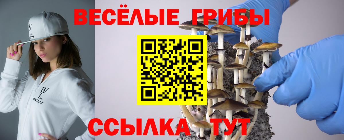 Псилоцибиновые грибы MAGIC MUSHROOMS Абинск