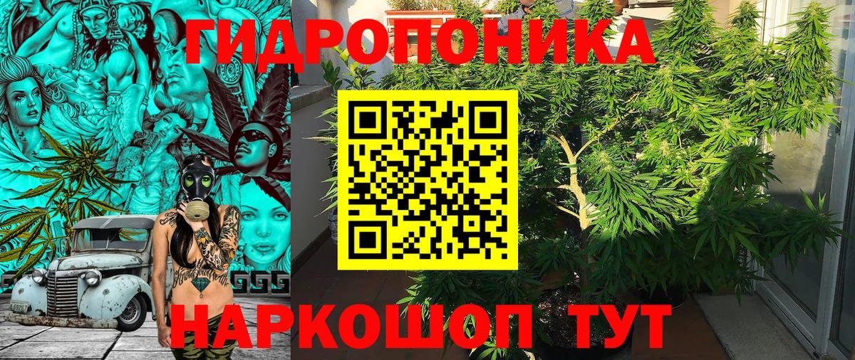 Марихуана Bruce Banner Абинск